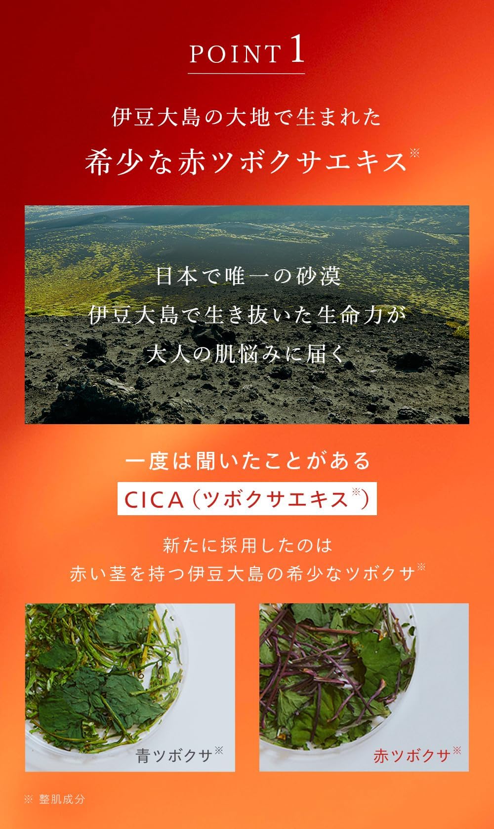 Amazon.co.jp: 【ショッパー付ギフト】N organic Basic スキンケア2点
